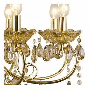 Подвесная люстра Arte Lamp Solfeggio A8791LM-8GO