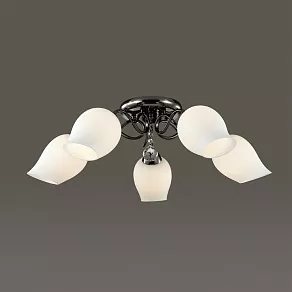 Потолочная люстра Lumion Rondina 3076/5C