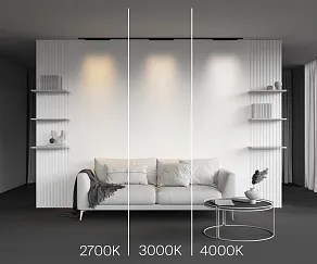 Накладной светильник Maytoni Technical Points TR193-1-20W4K-M-B