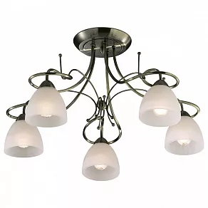 Потолочная люстра Odeon Light Kaena 2120/5C