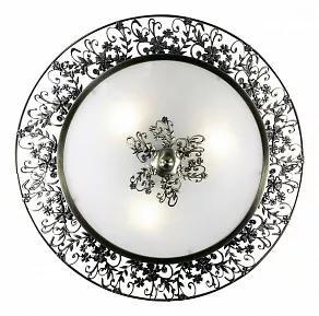Накладной светильник Odeon Light Balasa 2726/3C