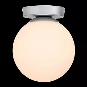 Накладной светильник ST-Luce Acini SL717.501.01