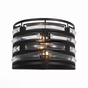 Накладной светильник ST-Luce Chiarezza SL665.401.02