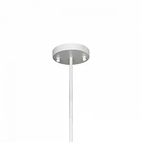 Люстра на штанге Favourite Fabia 2301-12P