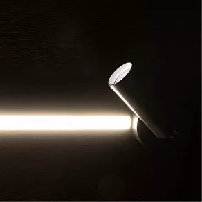 Спот Arte Lamp Rasalas A2219PL-2BK