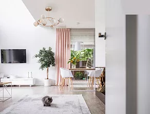 Люстра на штанге Lumion Misty 4466/8C