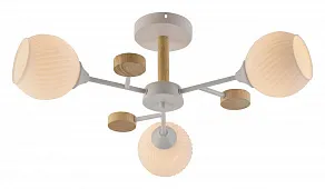 Люстра на штанге Rivoli Chiara Б0068427