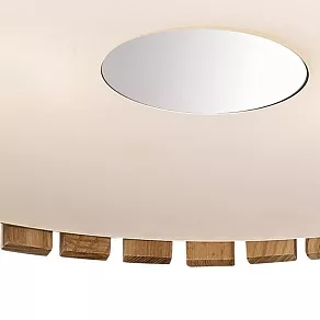 Накладной светильник Odeon Light Niko 2203/5C