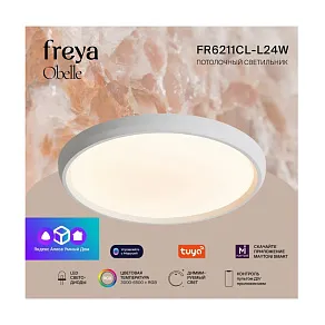 Настольная лампа-ночник Freya Krass FR6209RL-L3B