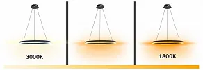 Подвесной светильник Kink Light Тор 08212,19A(dim to warm)