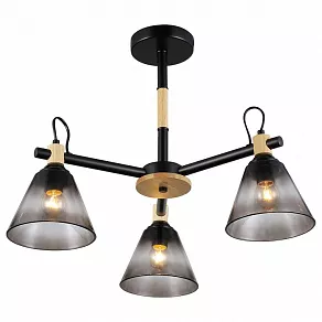 Люстра на штанге Rivoli Elmira Б0053431