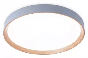 Накладной светильник Ambrella FZ FZ1322