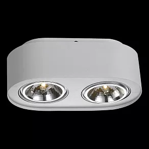 Накладной светильник Arte Lamp Cliff A5643PL-2WH