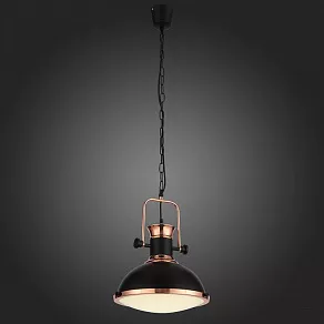 Подвесной светильник ST-Luce Lanterio SL404.403.01