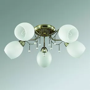 Потолочная люстра Lumion Veronica 3145/5C