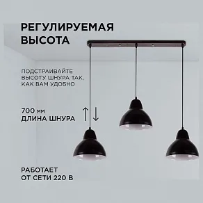 Подвесной светильник Apeyron Electrics  16-68