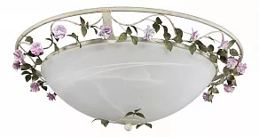 Накладной светильник Lightstar Aiola 785530