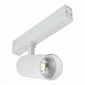 Светильник на штанге ST-Luce SKYLINE 220 ST660.536.20