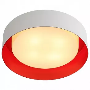 Накладной светильник ST-Luce Chio SL392.562.04