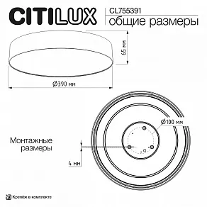 Накладной светильник Citilux BART CL755391