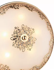 Накладной светильник Odeon Light Alesia 2676/5C