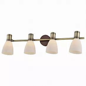 Спот TopLight Sharyl TL3720Y-04BB