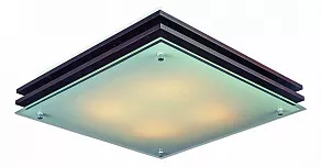 Накладной светильник Omnilux Caldelas OML-40207-04