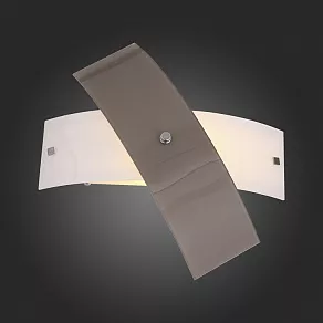 Накладной светильник ST-Luce Ovvio SL338.501.01