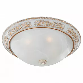 Накладной светильник Favourite Plafond 1446-4C
