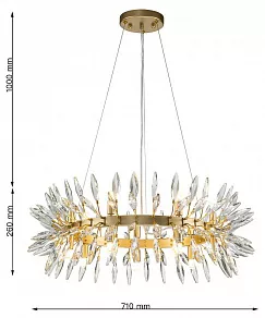 Подвесная люстра Favourite Rays 4058-14P