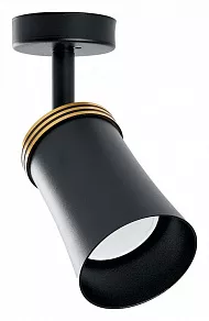 Спот Feron Barre 41481