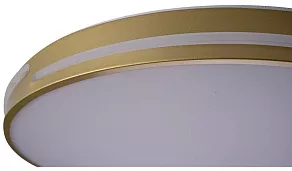 Накладной светильник Zortes Gabby ZRS.90610.50