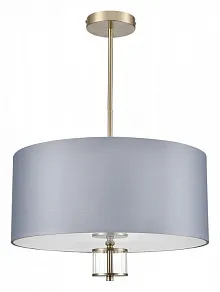Светильник на штанге Lumion Damona 8108/5C
