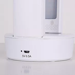 Настольная лампа офисная Elektrostandard Rizar a039404