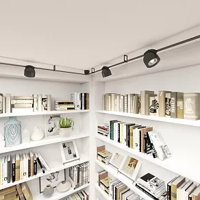 Накладной светильник Denkirs BELTY SPOT DK5541-BK