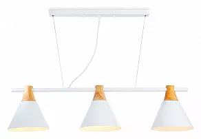 Подвесной светильник Ambrella TR TR8196