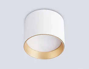 Накладной светильник Ambrella Light TN TN5304