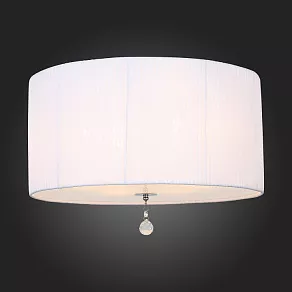 Накладной светильник ST-Luce Laconicita SL943.502.06
