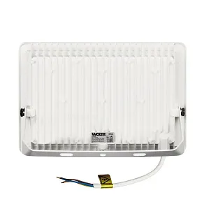 Настенно-потолочный прожектор Wolta  WFL-100W/06W