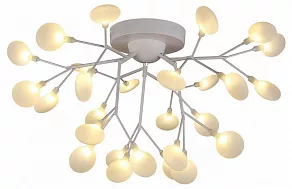 Потолочная люстра EVOLUCE Avola SLE250102-27