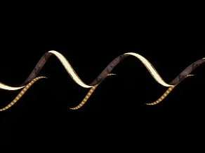 Лента светодиодная SWG SWG-COBCL 00-00047063