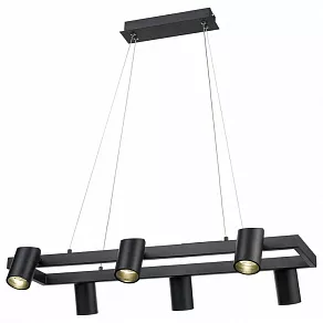 Подвесной светильник Vele Luce Zoom VL10122P06