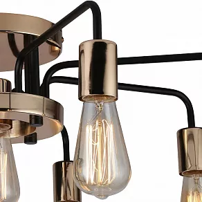 Потолочная люстра Arte Lamp 6001 A6001PL-9BK