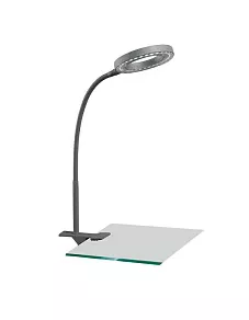 Настольная лампа офисная Arte Lamp Desk A9420LT-1SI