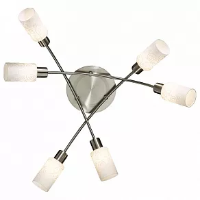 Потолочная люстра Odeon Light Bitl 2207/6C