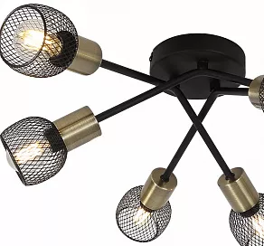 Потолочная люстра Globo Fiastra 54028-6S