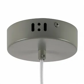 Подвесной светильник Lightstar Erbareo 799019