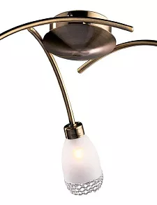 Потолочная люстра Odeon Light Lerta 1803/3C