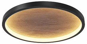 Накладной светильник Maytoni Orign MOD311CL-L40B3K