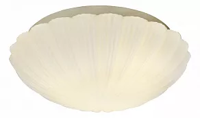 Накладной светильник ST-Luce Bagno SL495.502.03